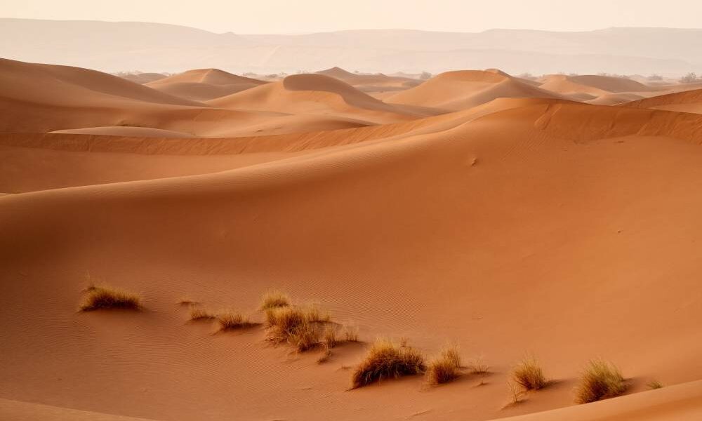 Sahara desert (8)