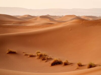 Sahara desert (8)